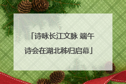 诗咏长江文脉 端午诗会在湖北秭归启幕