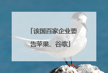 该国百家企业要告苹果、谷歌