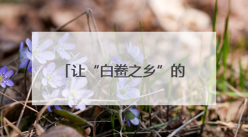 让“白鲞之乡”的好味道香飘四方