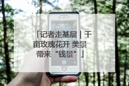 记者走基层｜千亩玫瑰花开 美景带来“钱景”