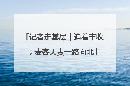 记者走基层｜追着丰收，麦客夫妻一路向北