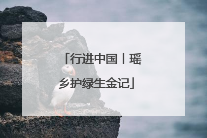 行进中国丨瑶乡护绿生金记