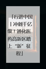 行进中国丨冲刺千亿级！通化医药高新区踏上“新”征程