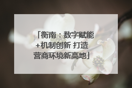 衡南：数字赋能+机制创新 打造营商环境新高地