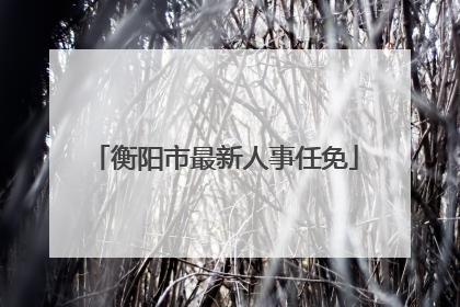 衡阳市最新人事任免