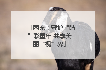 西充：守护“睛”彩童年 共享美丽“视”界
