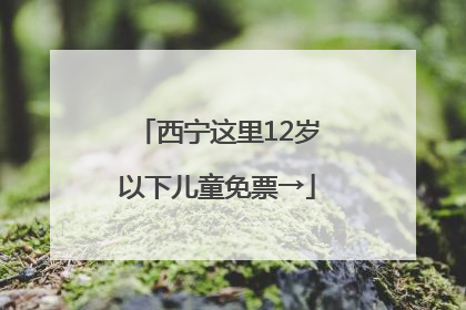 西宁这里12岁以下儿童免票→