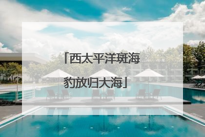 西太平洋斑海豹放归大海