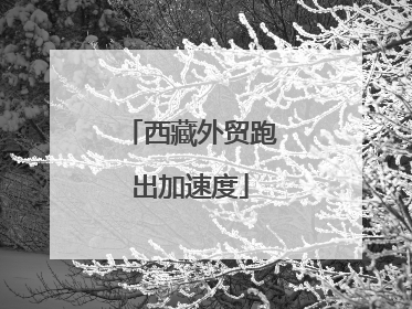 西藏外贸跑出加速度