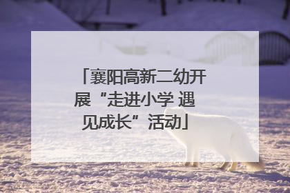 襄阳高新二幼开展“走进小学 遇见成长”活动