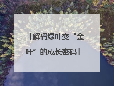 解码绿叶变“金叶”的成长密码