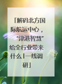 解码北方国际航运中心，“津港智慧”给全行业带来什么│一线调研