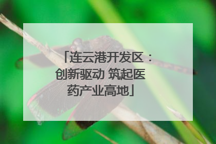 连云港开发区：创新驱动 筑起医药产业高地