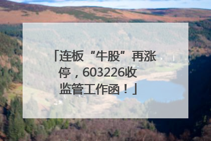 连板“牛股”再涨停，603226收监管工作函！