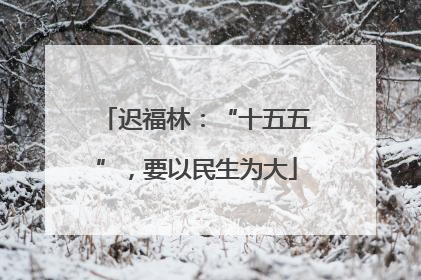 迟福林：“十五五”，要以民生为大