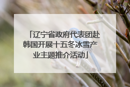 辽宁省政府代表团赴韩国开展十五冬冰雪产业主题推介活动