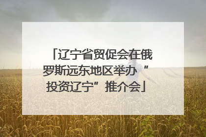 辽宁省贸促会在俄罗斯远东地区举办“投资辽宁”推介会