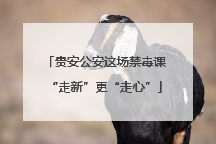 贵安公安这场禁毒课“走新”更“走心”