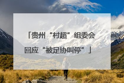 贵州“村超”组委会回应“被足协叫停”
