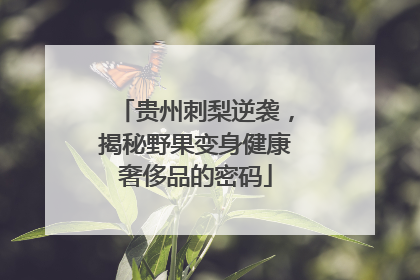贵州刺梨逆袭，揭秘野果变身健康奢侈品的密码