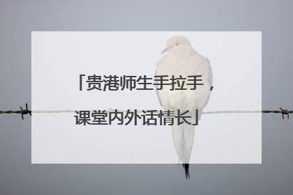 贵港师生手拉手，课堂内外话情长
