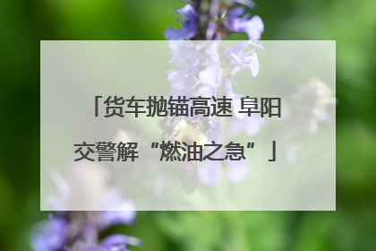 货车抛锚高速 阜阳交警解“燃油之急”