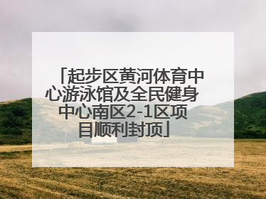起步区黄河体育中心游泳馆及全民健身中心南区2-1区项目顺利封顶