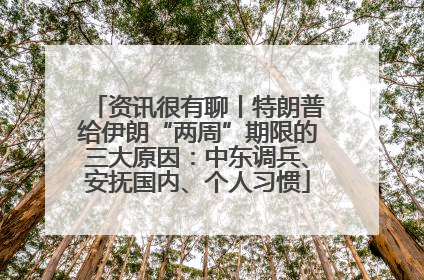 资讯很有聊丨特朗普给伊朗“两周”期限的三大原因：中东调兵、安抚国内、个人习惯