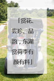 赏花、尝珍、品韵，东湖赏荷季有颜有料