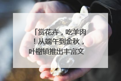 赏花卉，吃羊肉！从端午到金秋，叶榭镇推出丰富文旅活动邀您爽玩