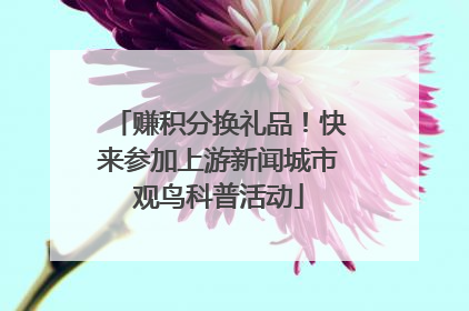 赚积分换礼品！快来参加上游新闻城市观鸟科普活动