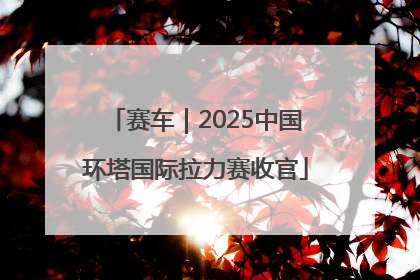 赛车｜2025中国环塔国际拉力赛收官