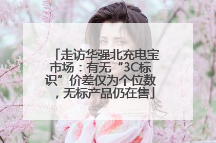 走访华强北充电宝市场：有无“3C标识”价差仅为个位数，无标产品仍在售