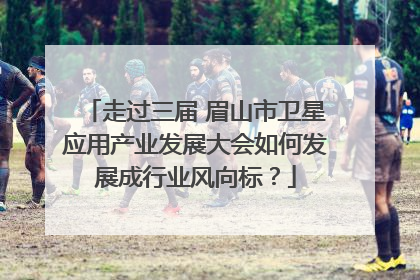 走过三届 眉山市卫星应用产业发展大会如何发展成行业风向标？