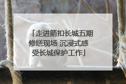 走进箭扣长城五期修缮现场 沉浸式感受长城保护工作