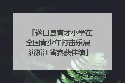 遂昌县育才小学在全国青少年打击乐展演浙江省赛获佳绩