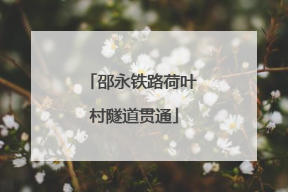 邵永铁路荷叶村隧道贯通