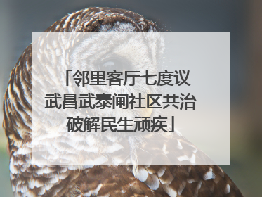 邻里客厅七度议 武昌武泰闸社区共治破解民生顽疾