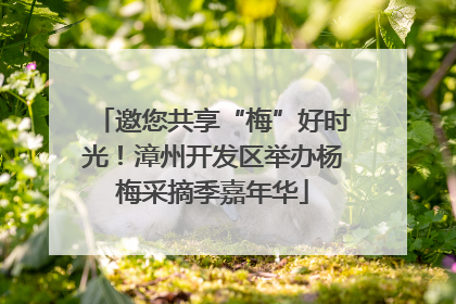 邀您共享“梅”好时光！漳州开发区举办杨梅采摘季嘉年华