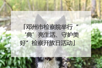 邓州市检察院举行“‘典’亮生活、守护美好”检察开放日活动