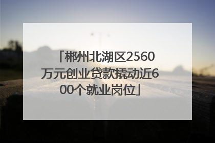 郴州北湖区2560万元创业贷款撬动近600个就业岗位