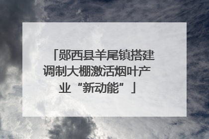郧西县羊尾镇搭建调制大棚激活烟叶产业“新动能”