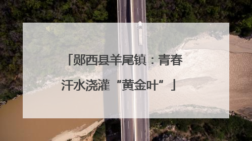 郧西县羊尾镇：青春汗水浇灌“黄金叶”