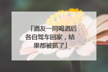 酒友一同喝酒后各自驾车回家，结果都被抓了