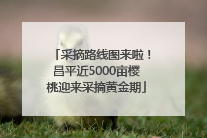 采摘路线图来啦！昌平近5000亩樱桃迎来采摘黄金期