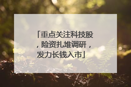 重点关注科技股，险资扎堆调研，发力长钱入市