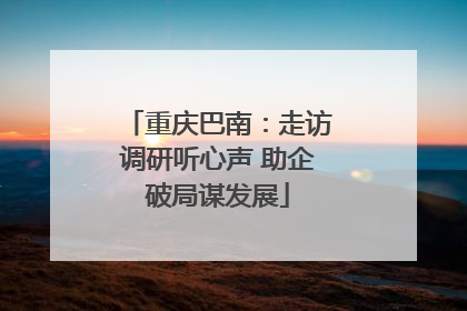 重庆巴南：走访调研听心声 助企破局谋发展