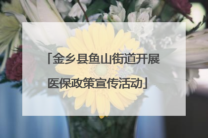 金乡县鱼山街道开展医保政策宣传活动