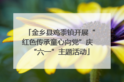 金乡县鸡黍镇开展“红色传承童心向党”庆“六一”主题活动