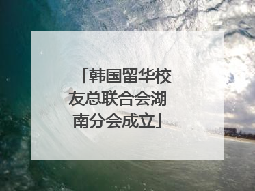 韩国留华校友总联合会湖南分会成立
